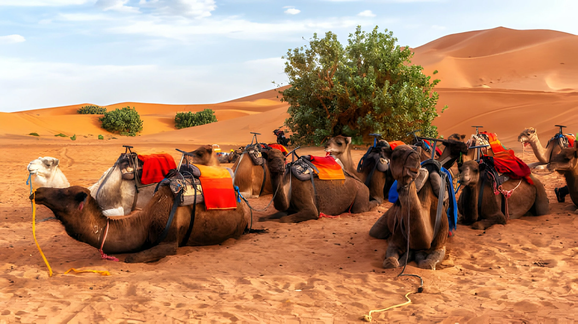4 Days Marrakech to Desert Erg Chegaga